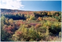 Landscape 1, New England America